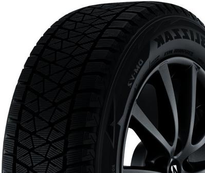 Bridgestone Blizzak DM-V2